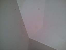 fkillineybeforeinternal 1590.jpg